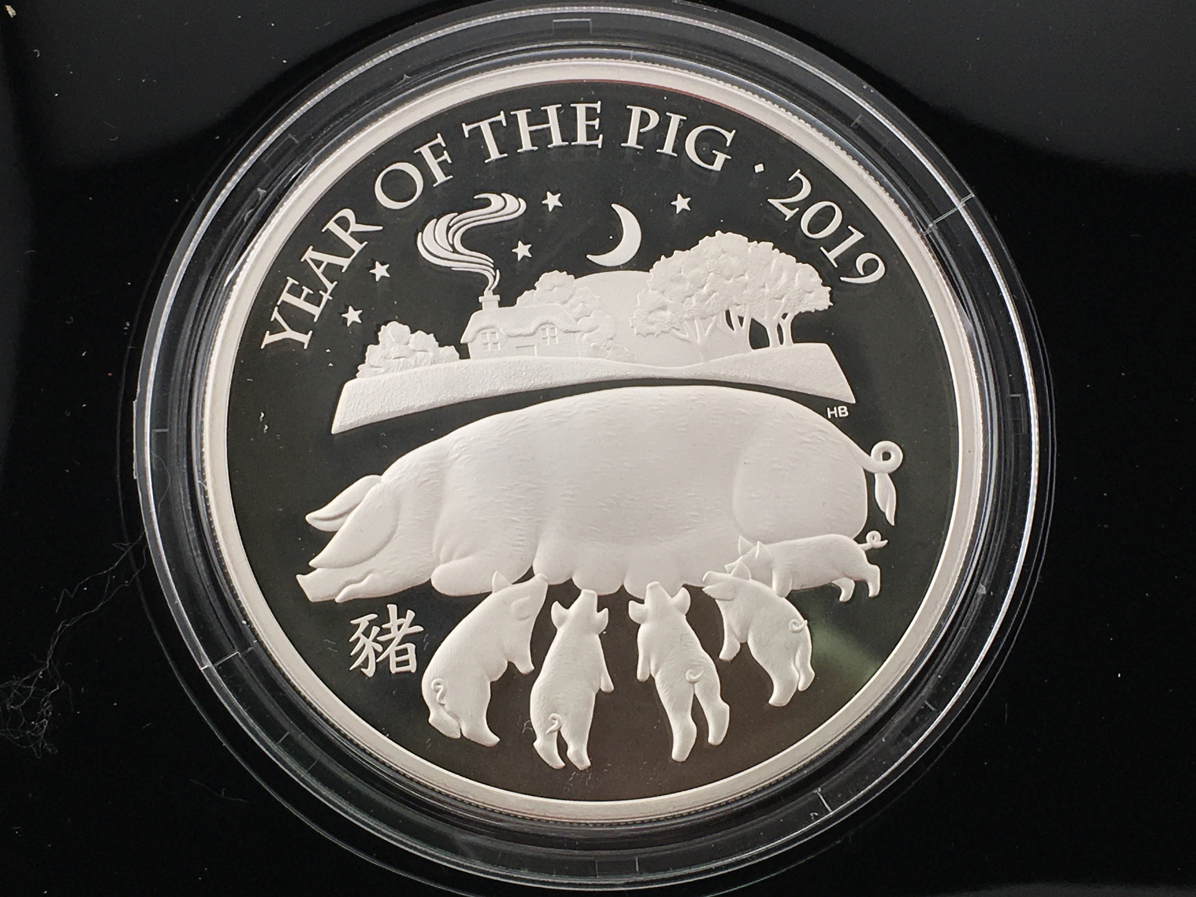 2019 Lunar year of the pig 5oz silver proof coin with COA Postage B