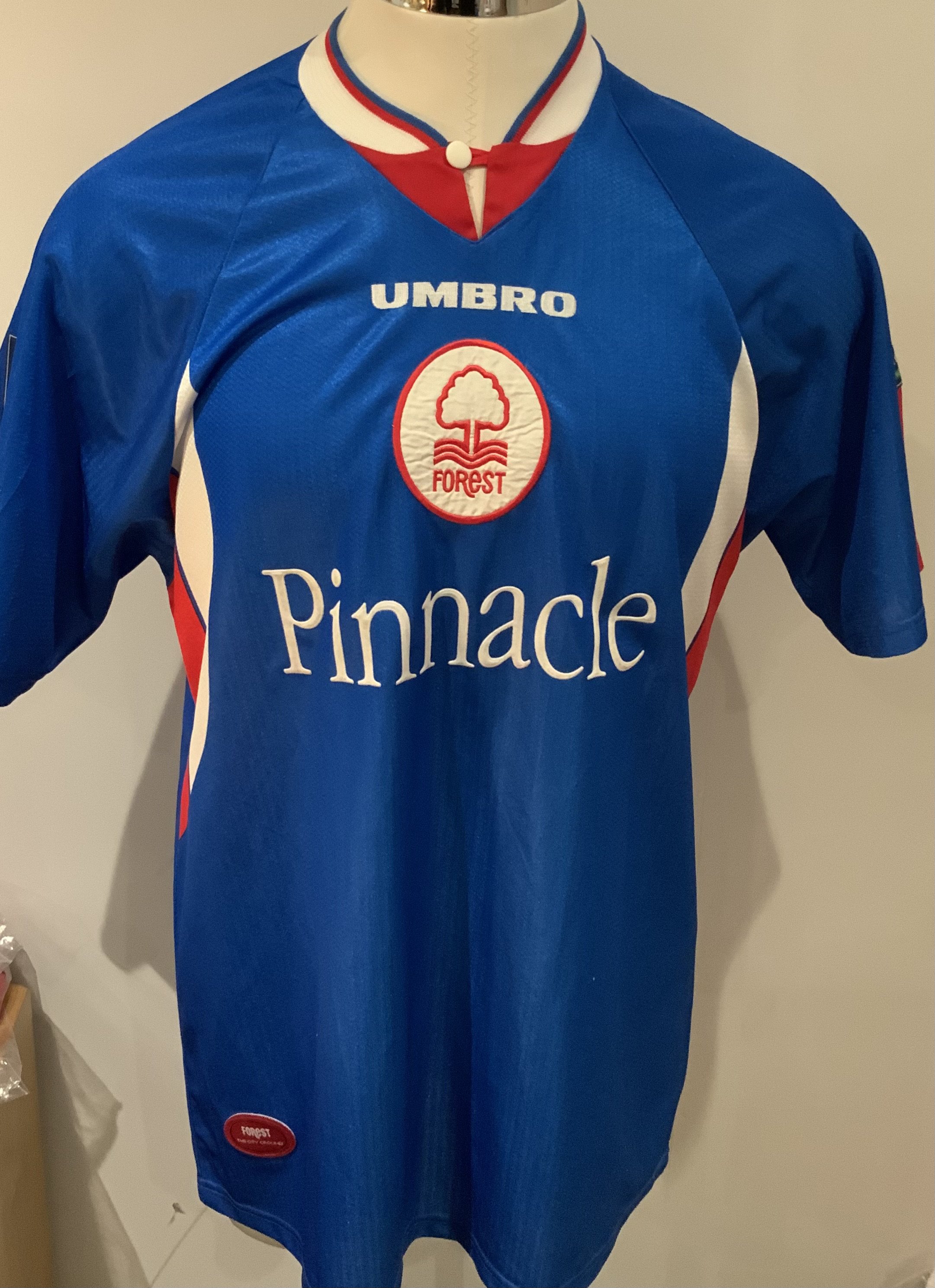 Nottingham Forest 1997 - 1998 Match Worn Football Shirt: Blue short sleeve shirt with Nationwide League badge to sleeves. Number 16 to rear. Worn by Nikola Jerkan.