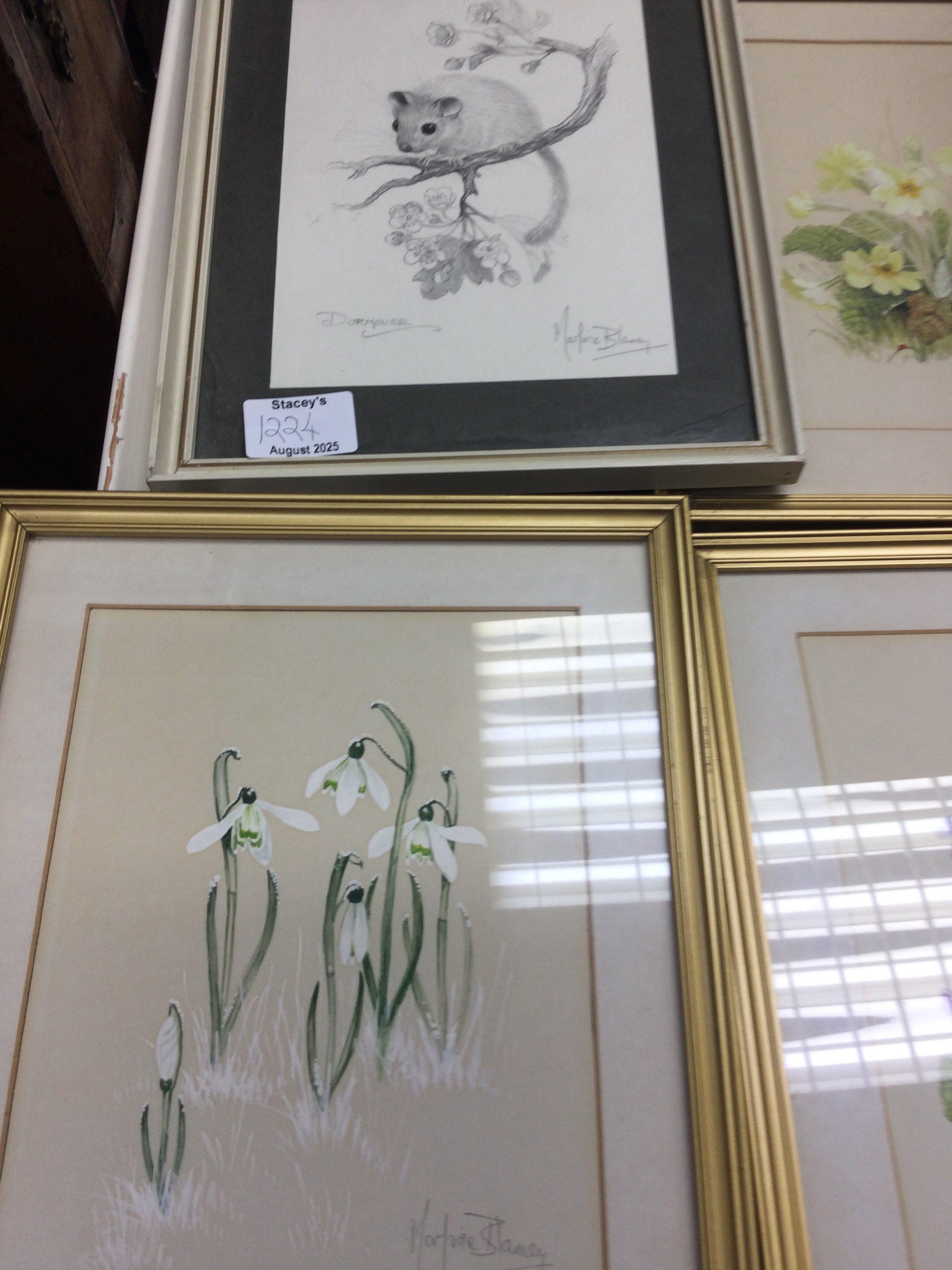 A collection of eight Marjorie Blamey wildlife pictures.