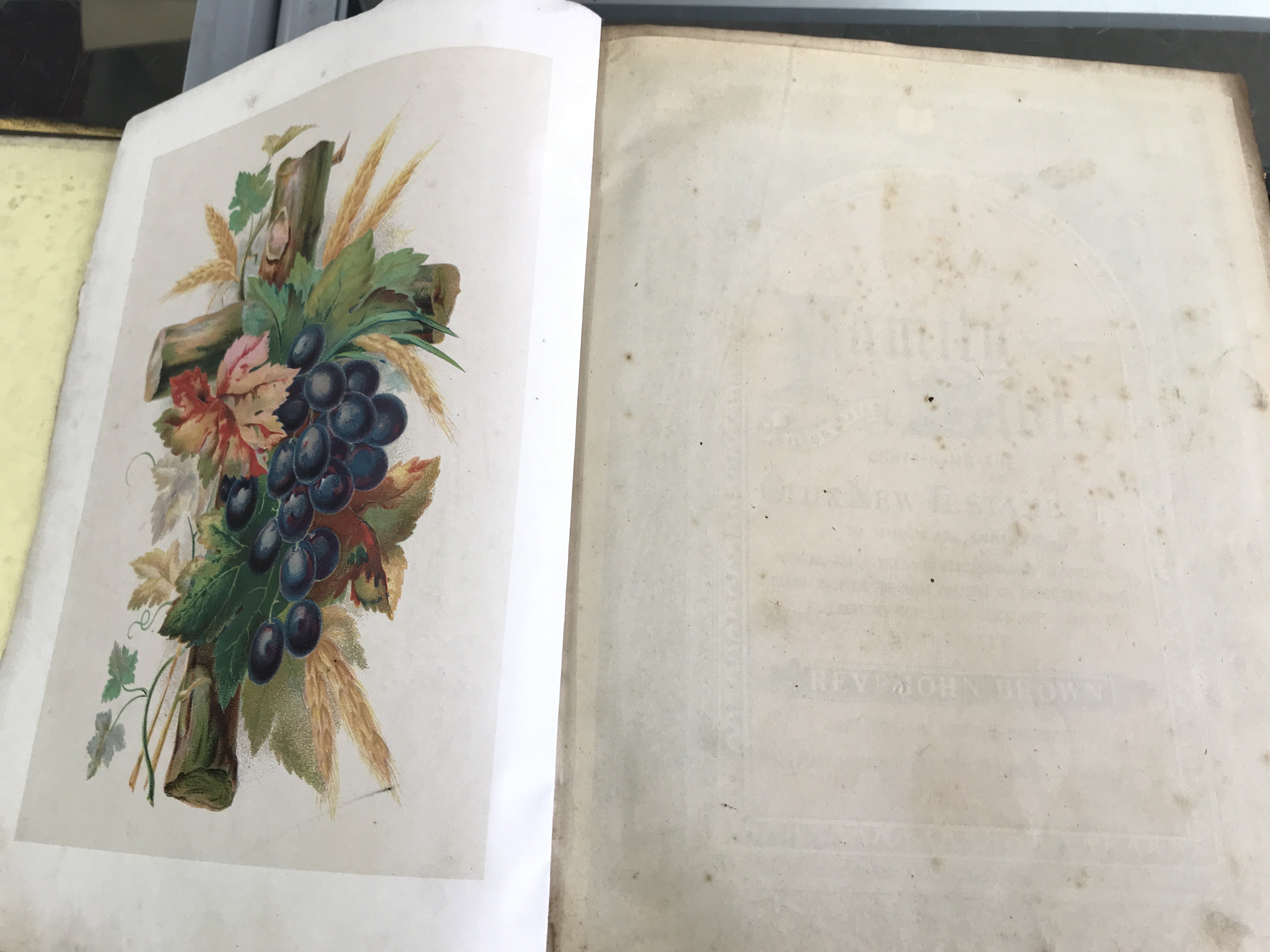 A large Brownes family bible. postage category C- NO RESERVE