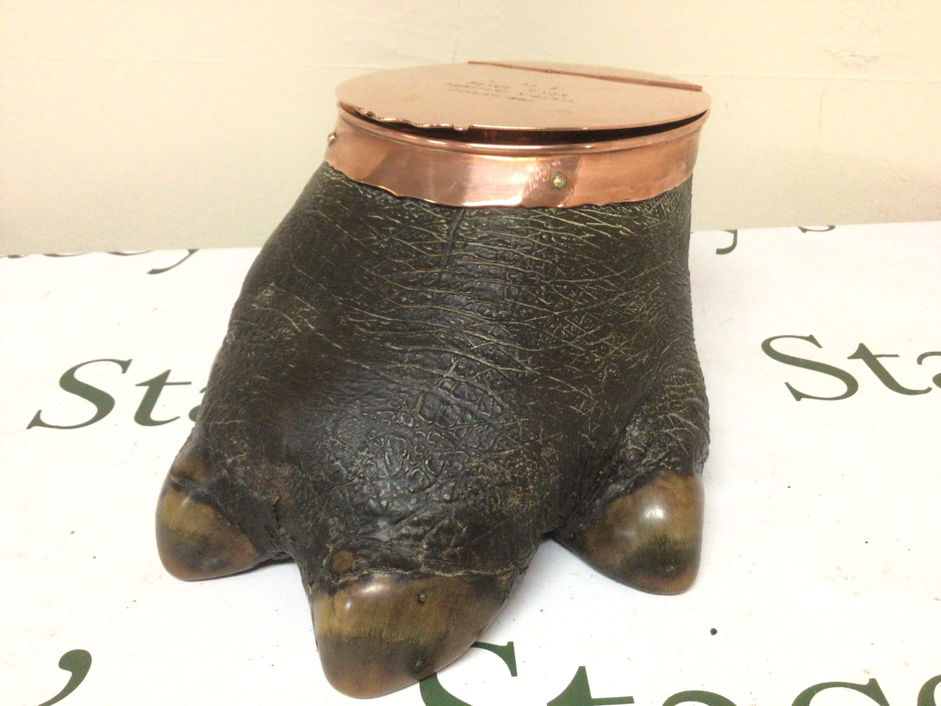 An Early 20th Century copper mounted Hippopotamus foot the copper hinged top enclosing an ink well and with the inscription JMF Benue River North Nigeria June 1907.