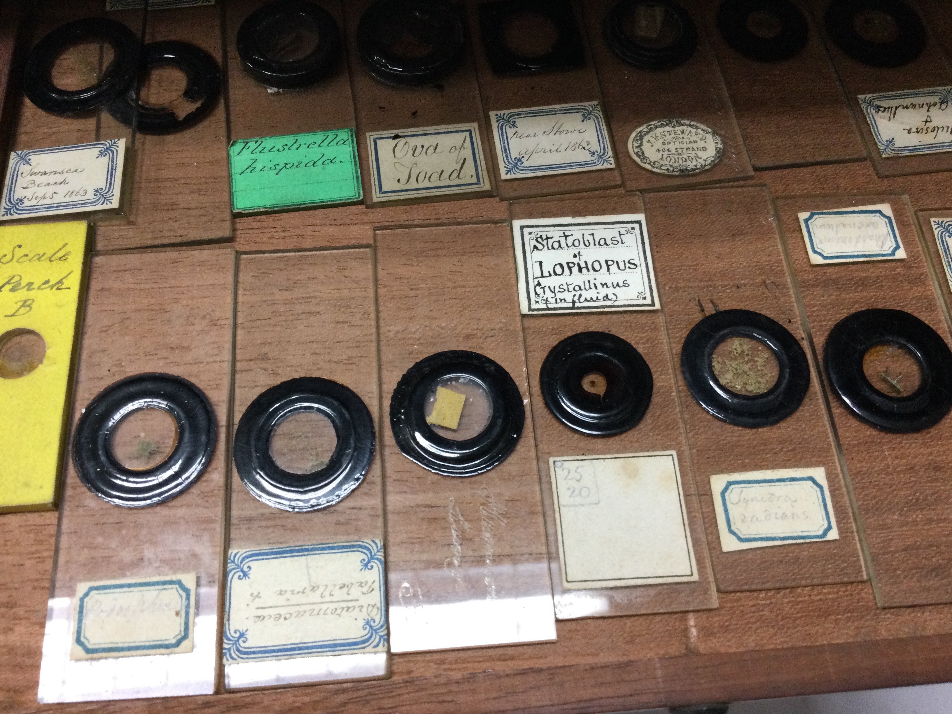 A cased brass Monocular together with a mahogany cabinet fitted with numerous specimen slides one other brass Monocular and a smaller case of slides.