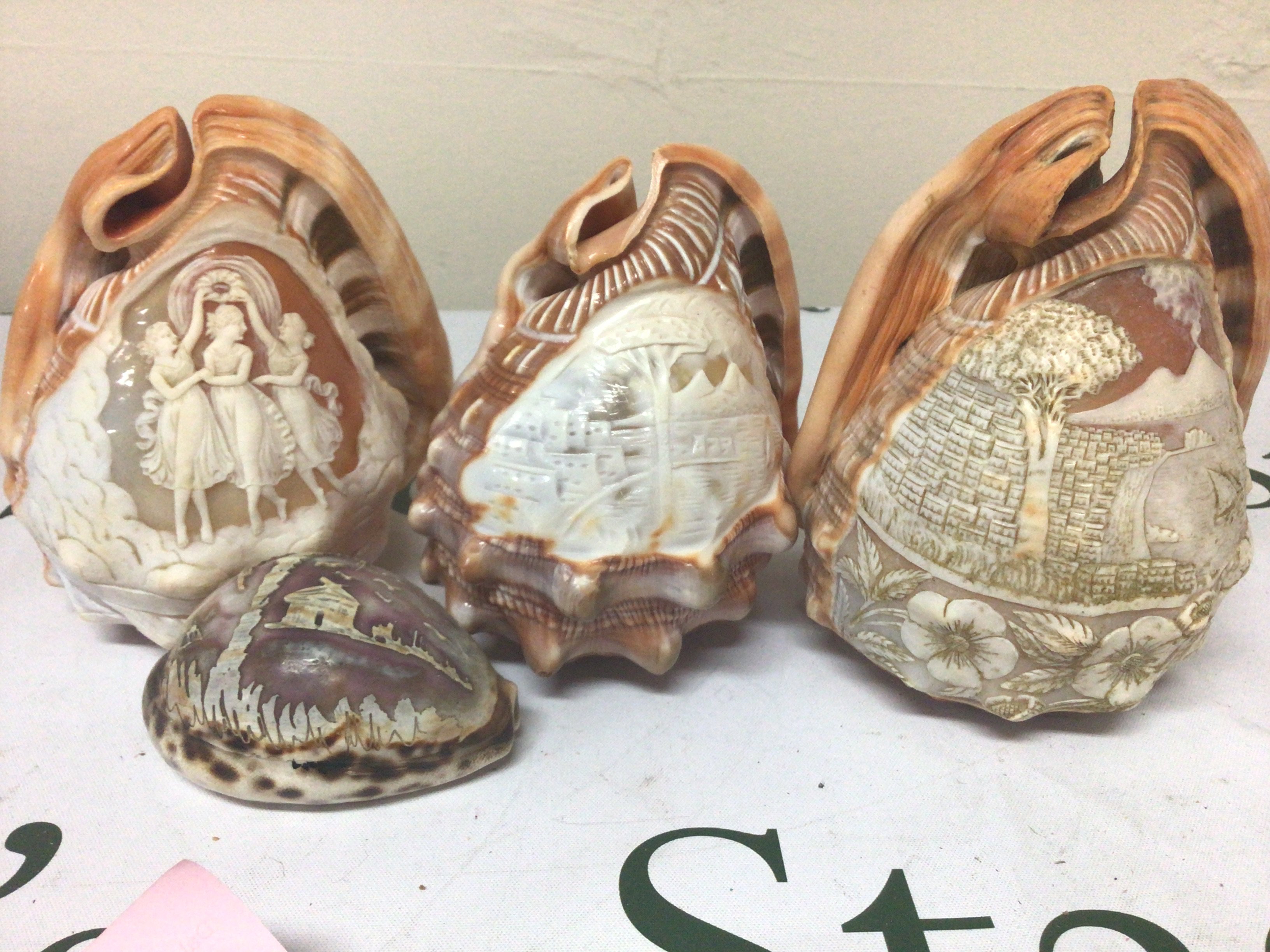 Three carved Cameo Conch shells views of Mount Vesuvius and the three graces and one other (4)